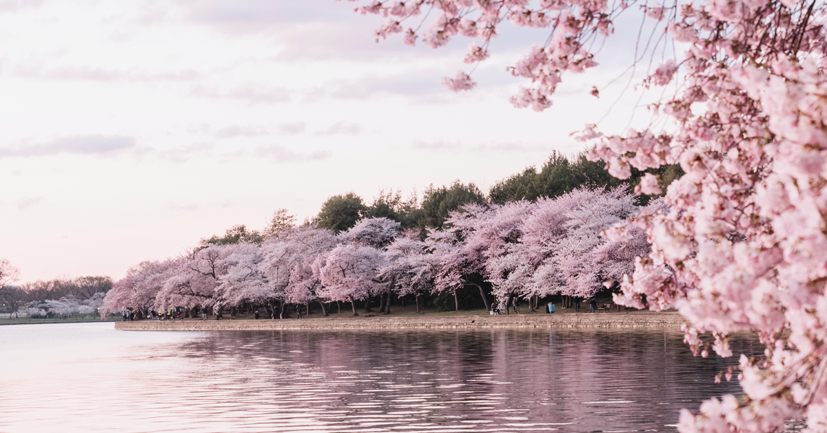 Mindfulness Practice for Spring